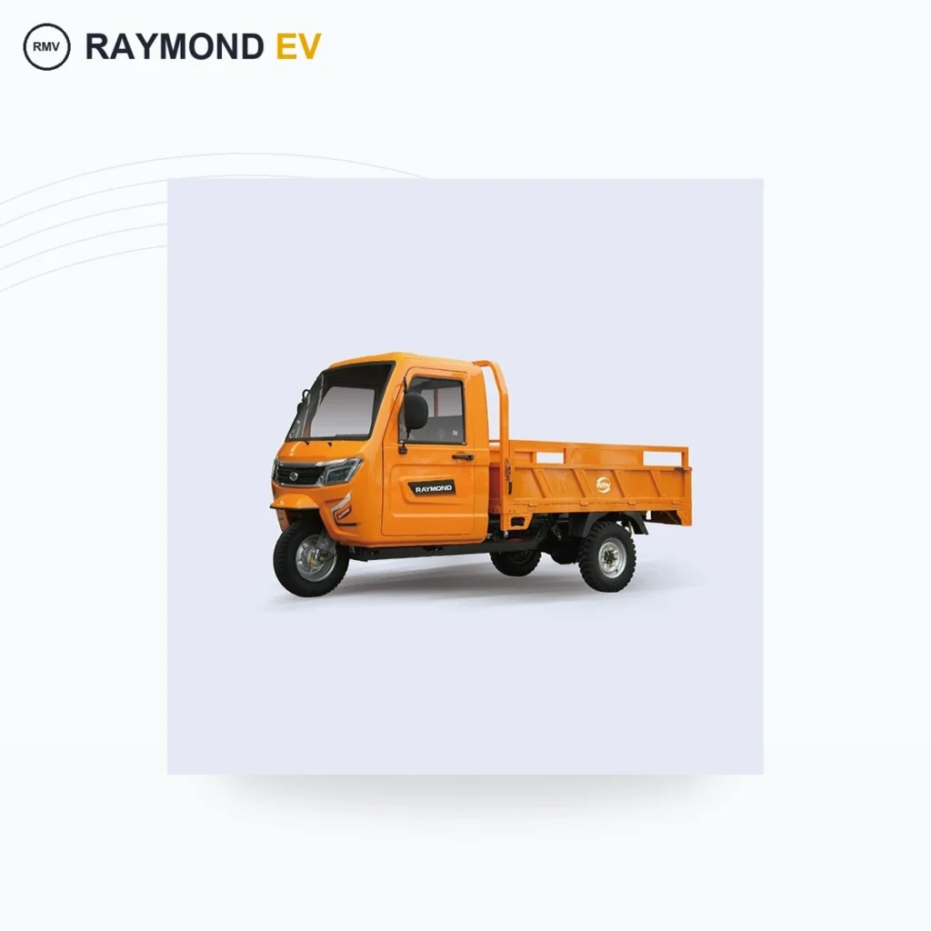 Raymon Cargo Electric Tricycle 0005