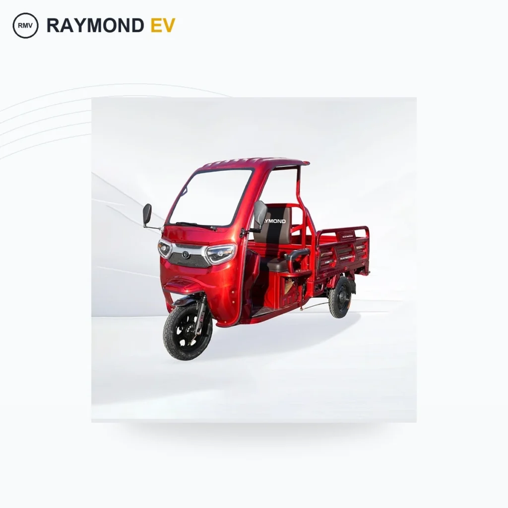 Raymon Cargo Electric Tricycle 0006