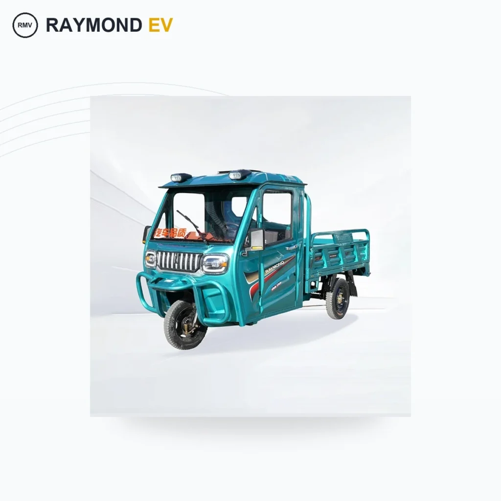 Raymon Cargo Electric Tricycle 0008