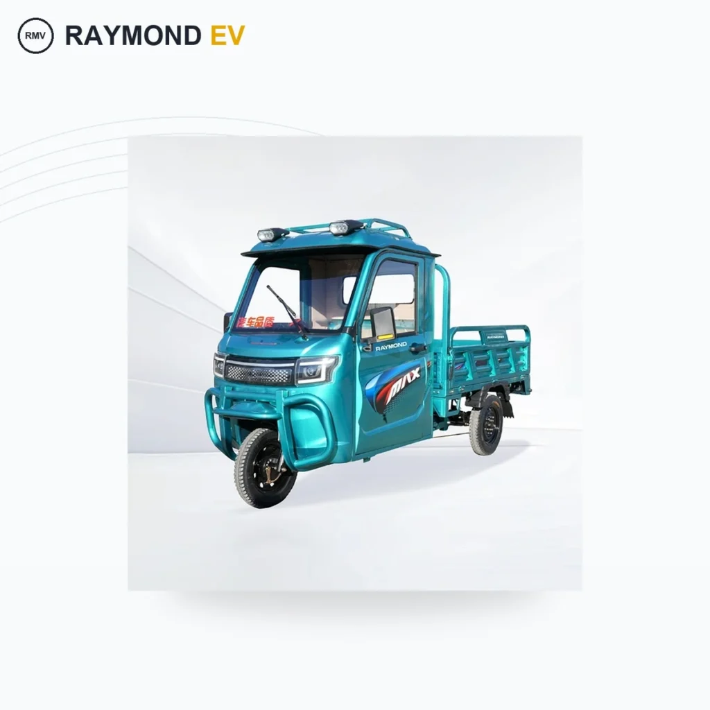 Raymon Cargo Electric Tricycle 0009