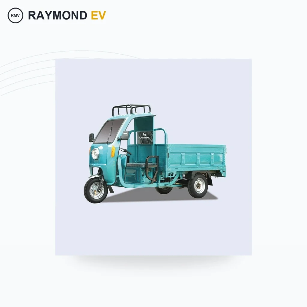 Raymon Cargo Electric Tricycle 0012