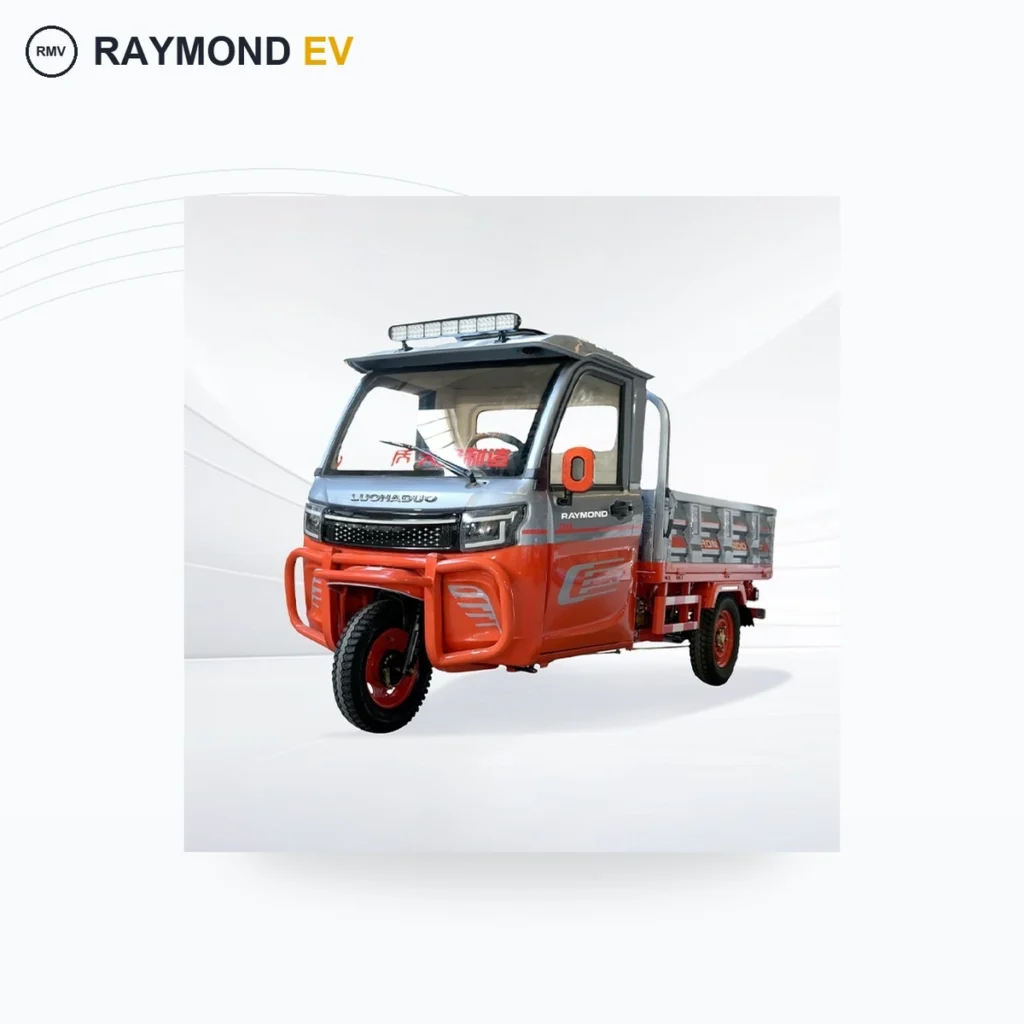 Raymon Cargo Electric Tricycle 0013
