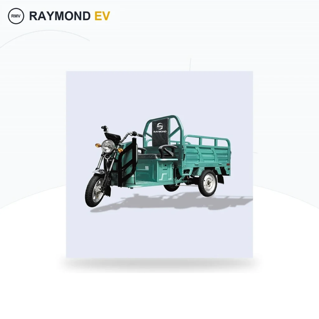 Raymon Cargo Electric Tricycle 0014