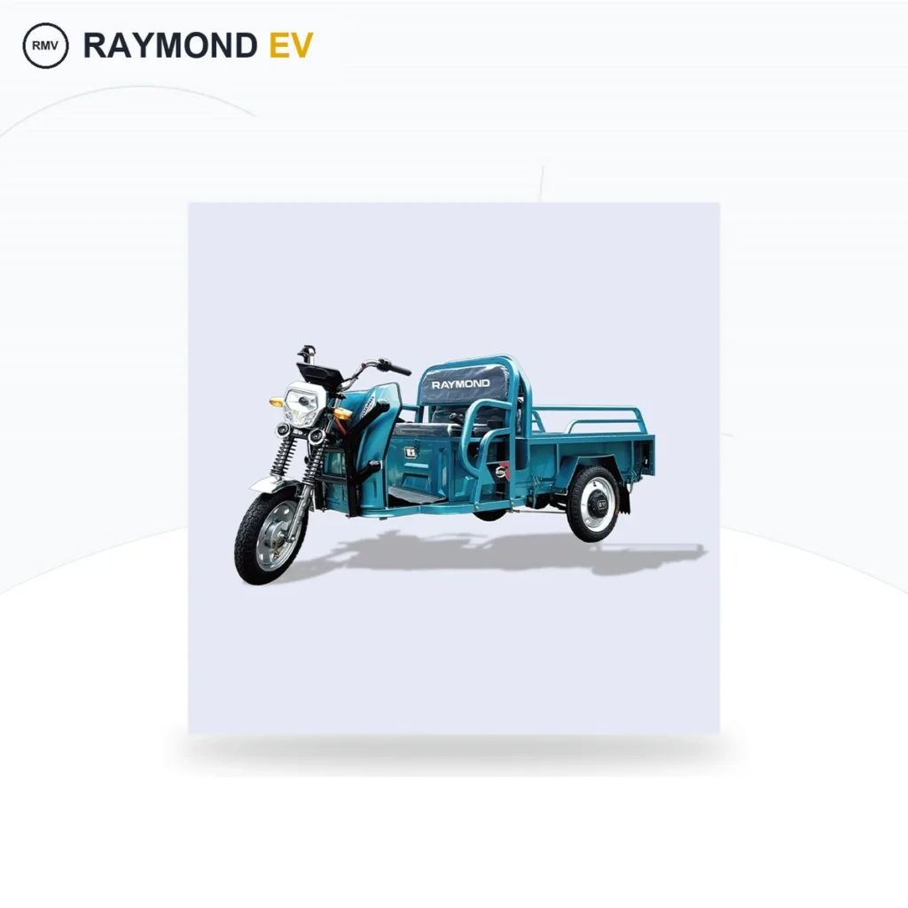 Raymon Cargo Electric Tricycle 0015