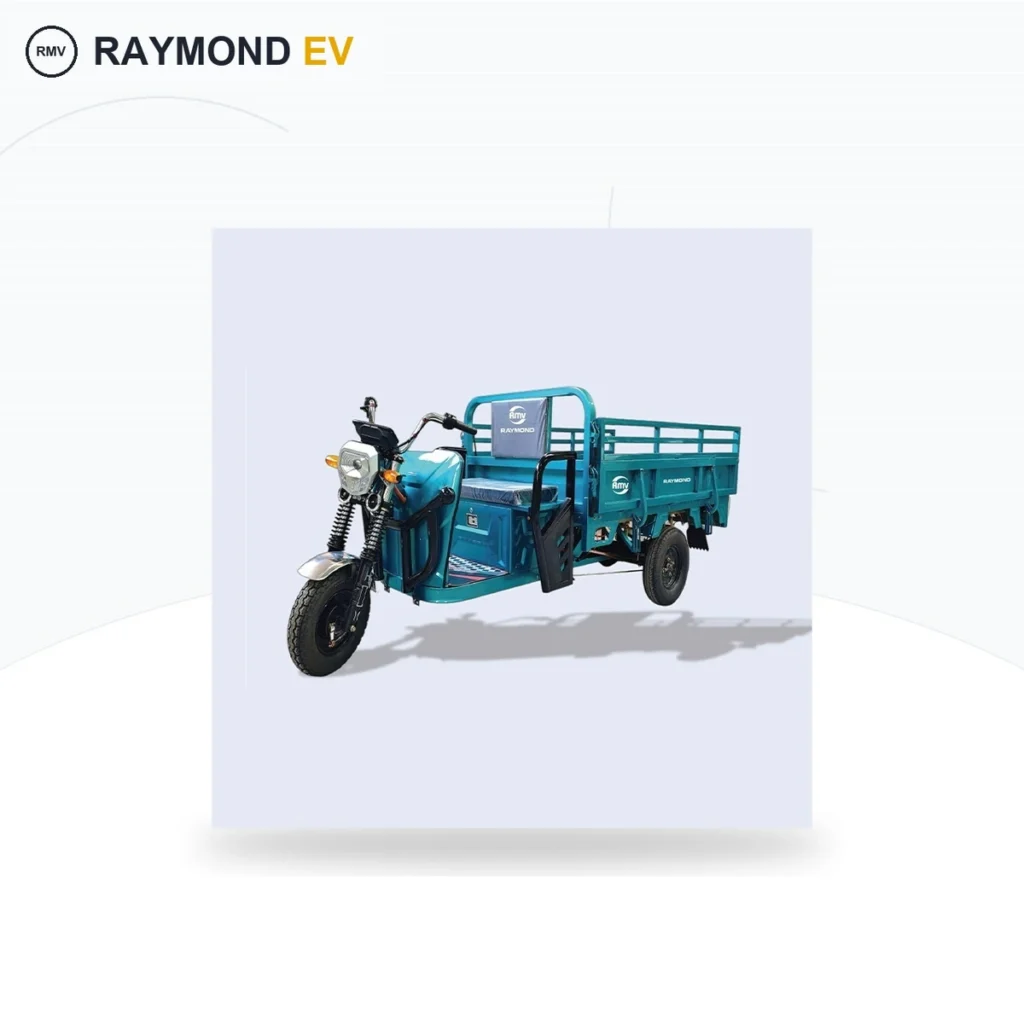 Raymon Cargo Electric Tricycle 0016