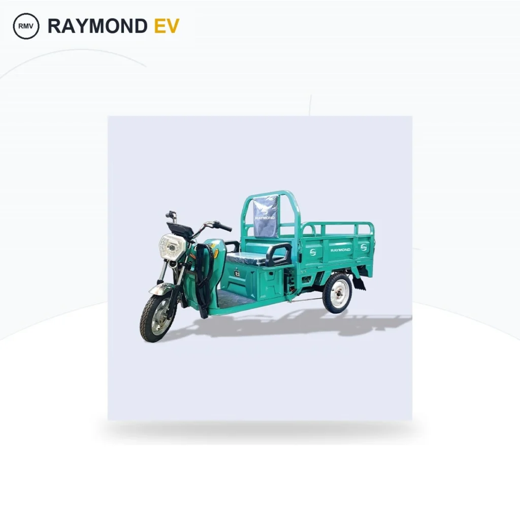 Raymon Cargo Electric Tricycle 0017