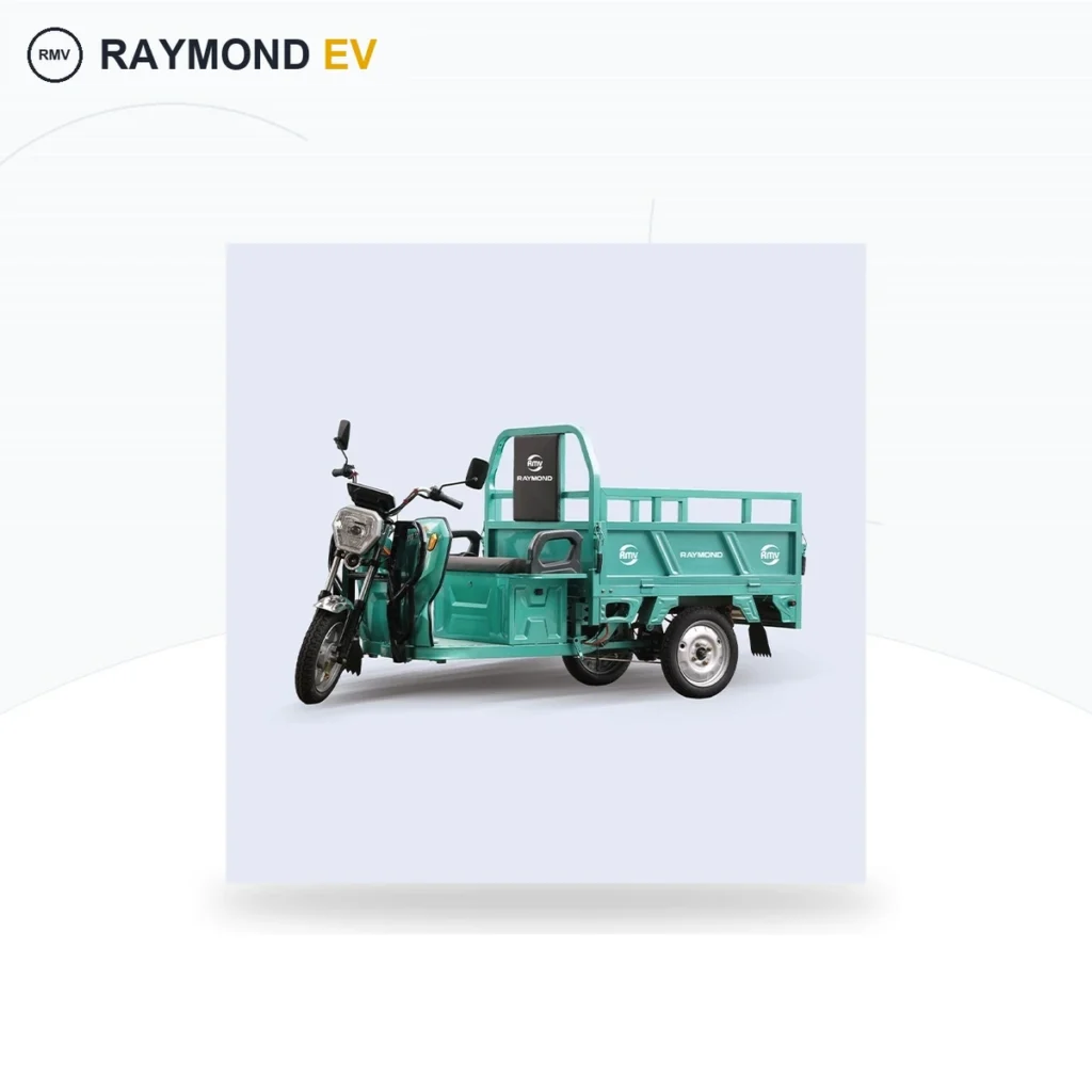 Raymon Cargo Electric Tricycle 0018