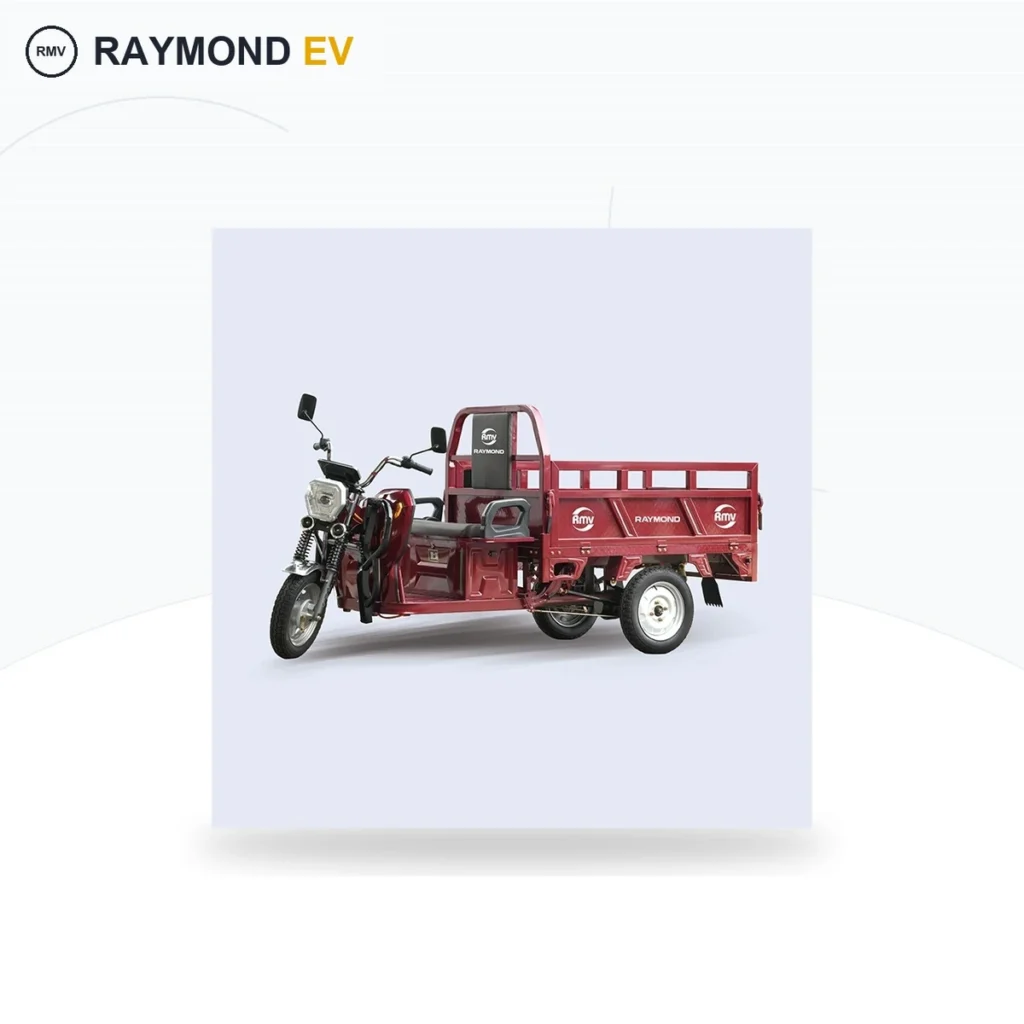 Raymon Cargo Electric Tricycle 0019