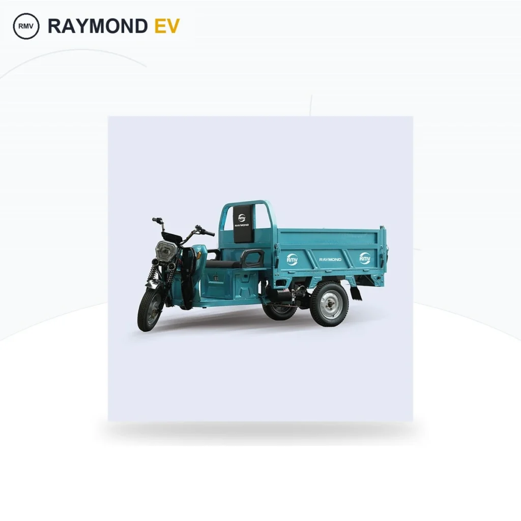 Raymon Cargo Electric Tricycle 0020