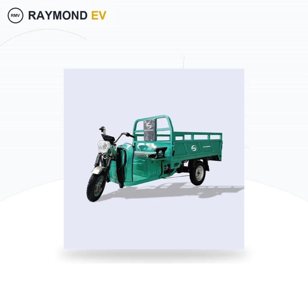 Raymon Cargo Electric Tricycle 0021