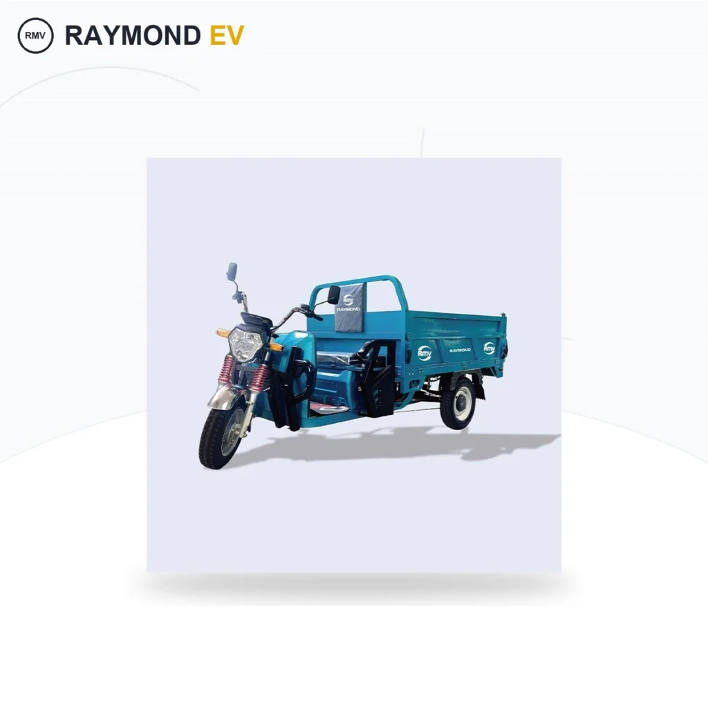 Raymon Cargo Electric Tricycle 0022