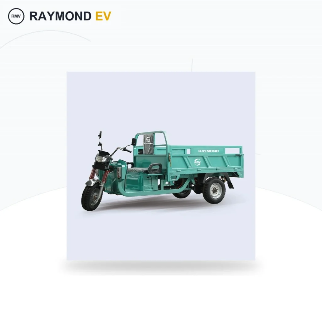 Raymon Cargo Electric Tricycle 0023