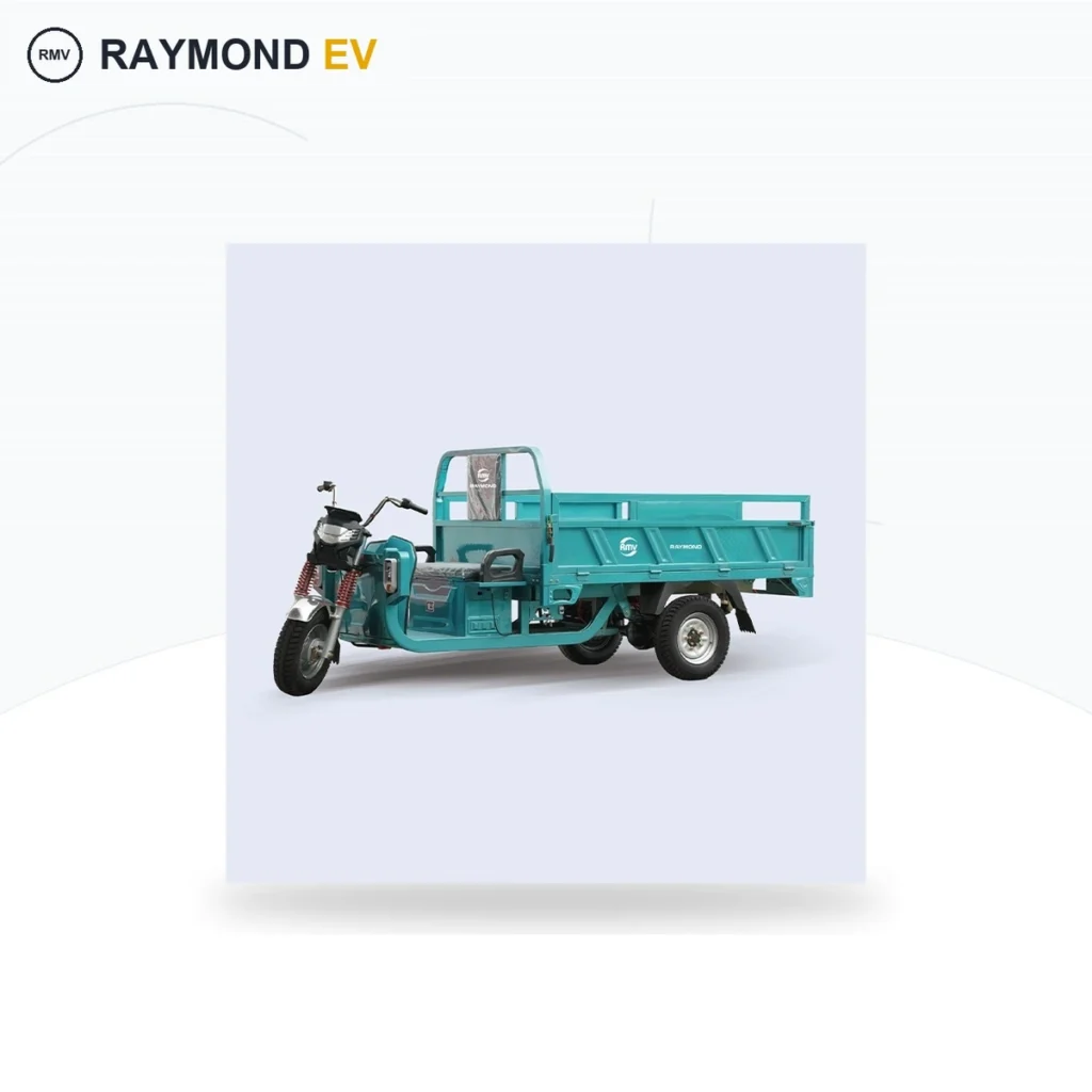 Raymon Cargo Electric Tricycle 0024