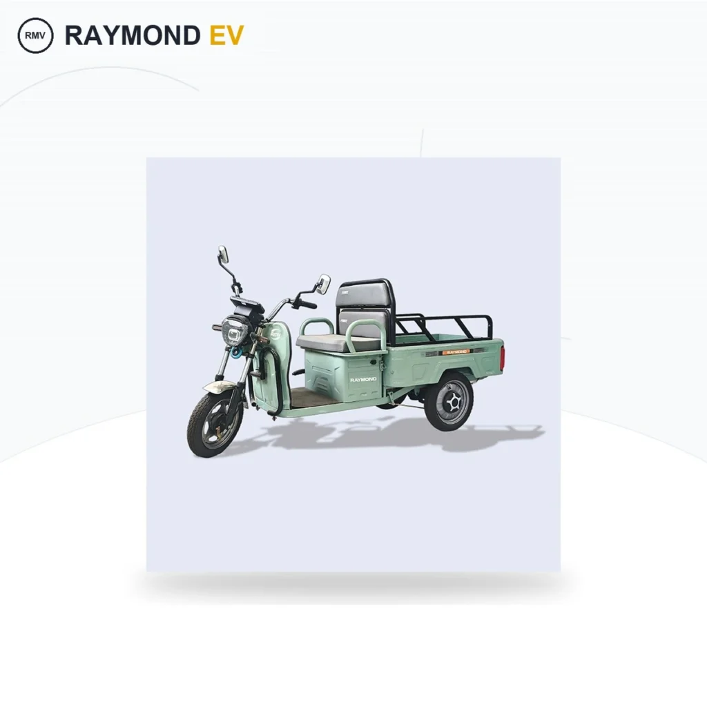 Raymon Cargo Electric Tricycle 0025