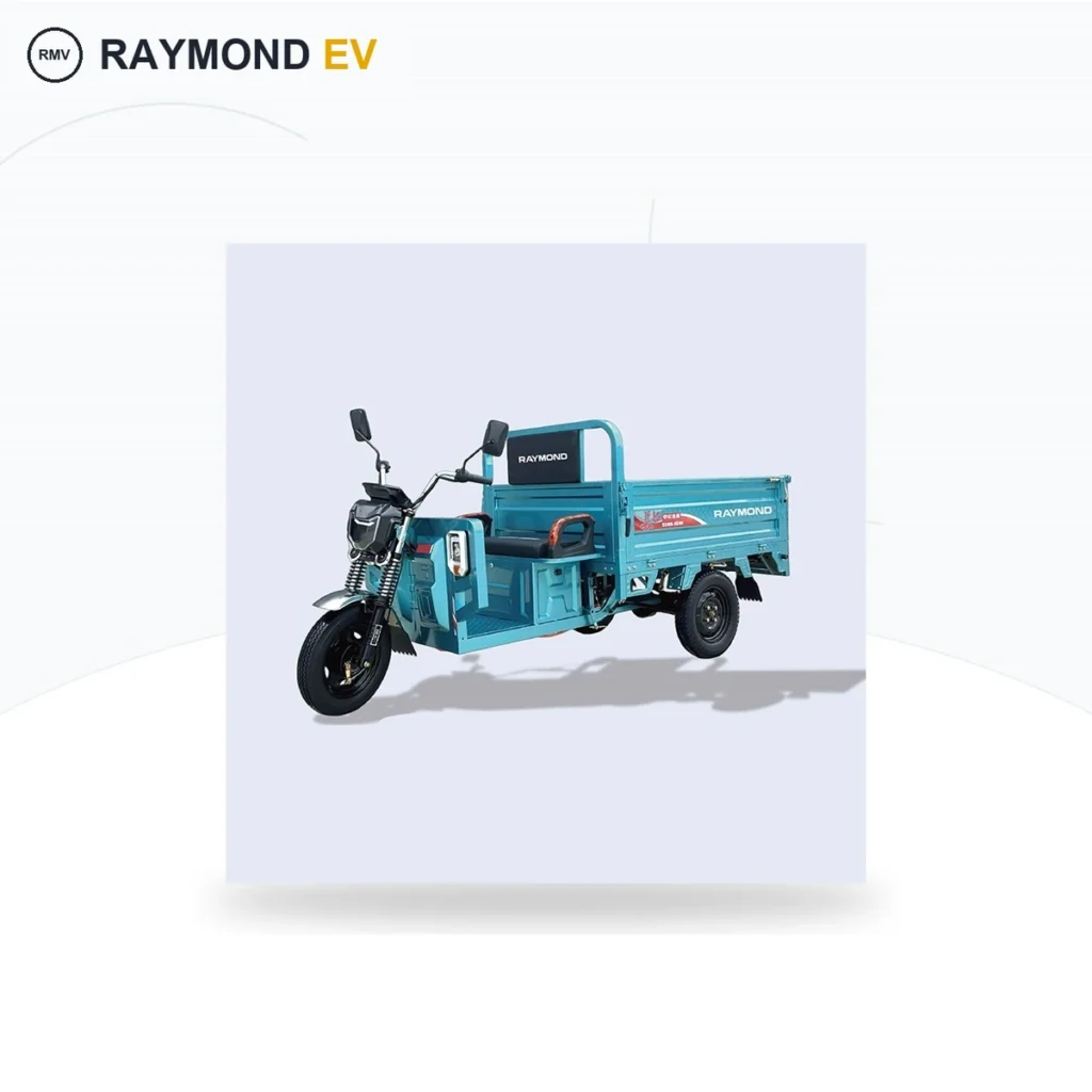 Raymon Cargo Electric Tricycle 0026
