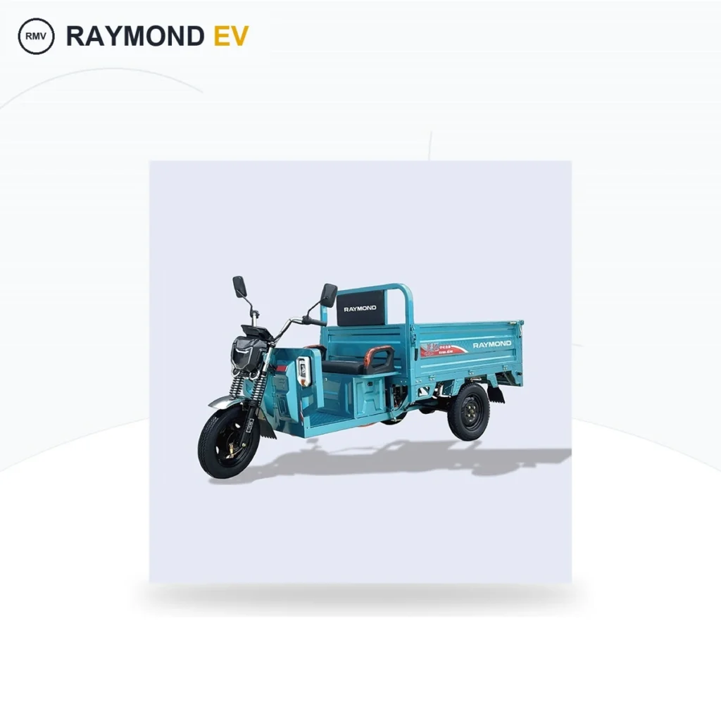 Raymon Cargo Electric Tricycle 0027