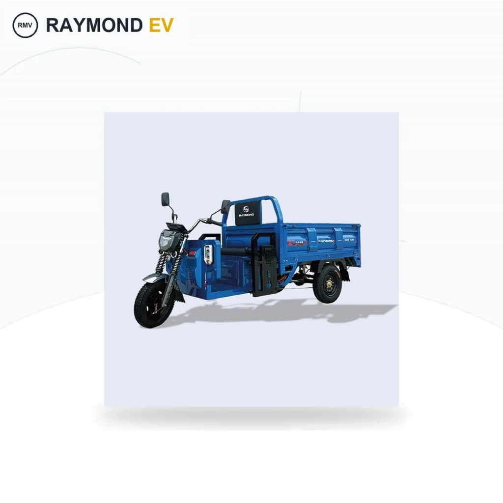 Raymon Cargo Electric Tricycle 0028