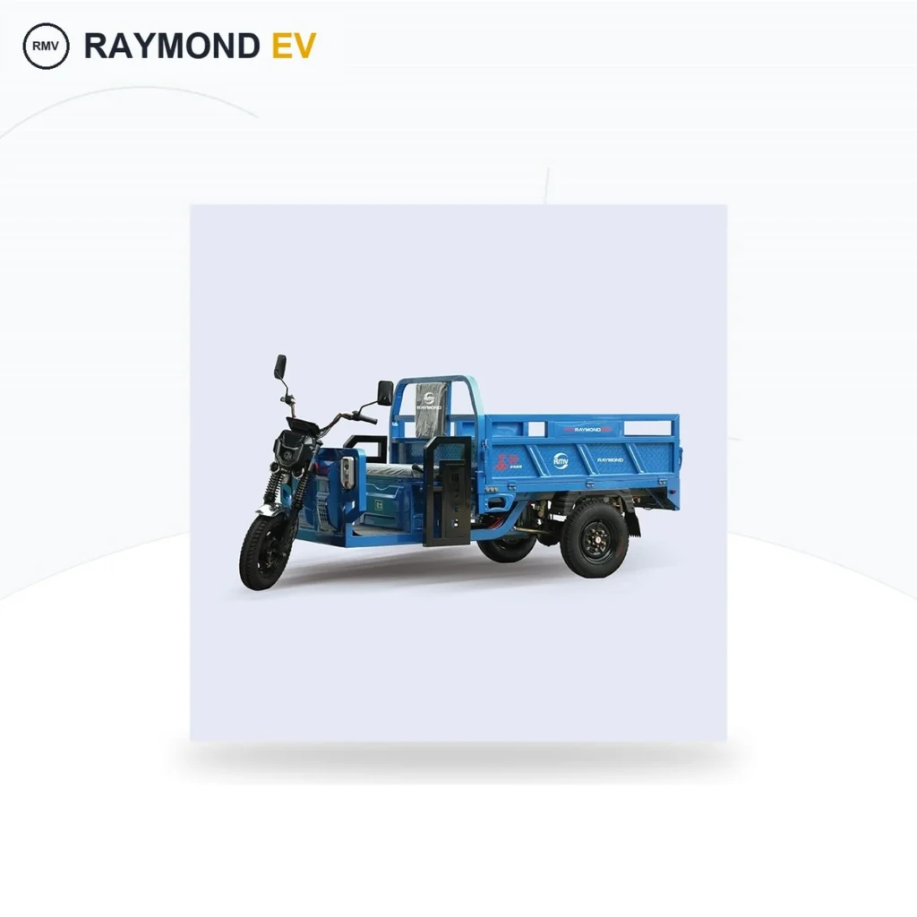 Raymon Cargo Electric Tricycle 0029