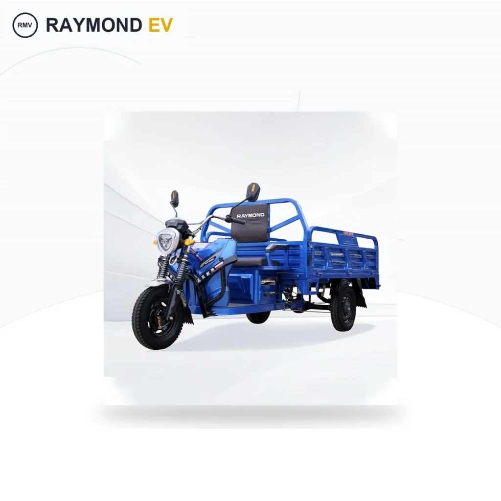 Raymon Cargo Electric Tricycle 0032
