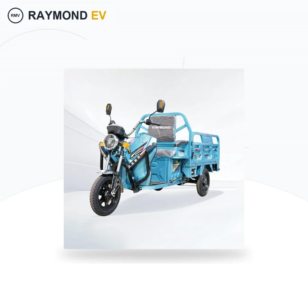 Raymon Cargo Electric Tricycle 0033