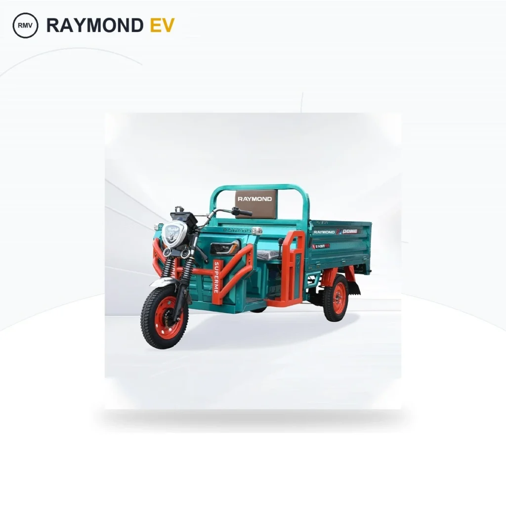 Raymon Cargo Electric Tricycle 0034