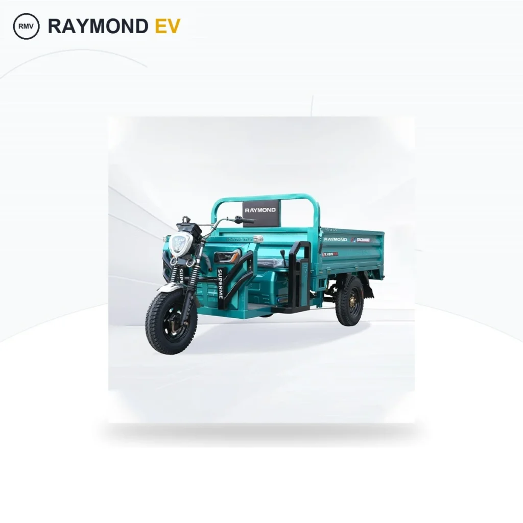 Raymon Cargo Electric Tricycle 0035