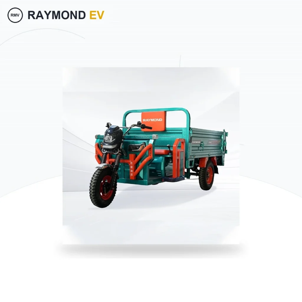 Raymon Cargo Electric Tricycle 0036