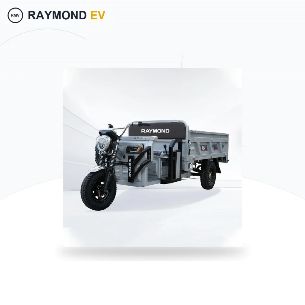 Raymon Cargo Electric Tricycle 0037