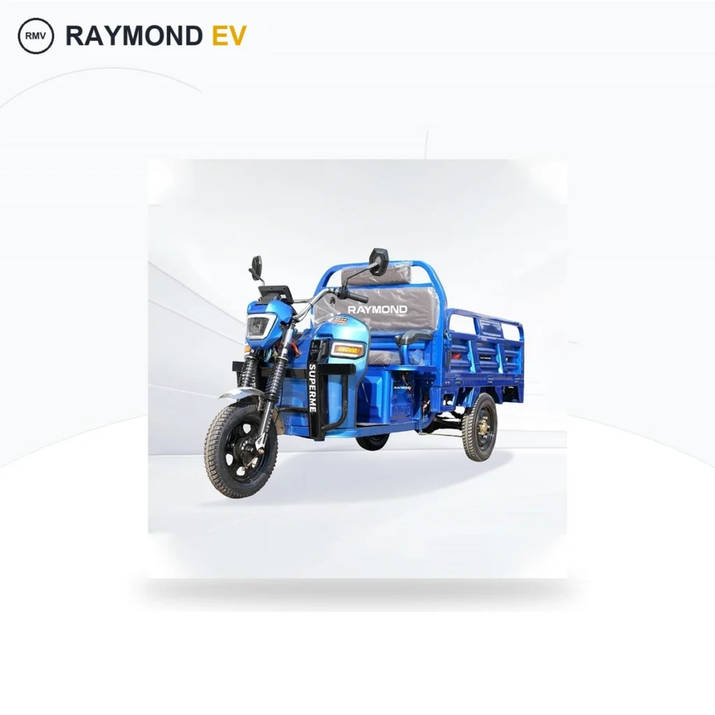 Raymon Cargo Electric Tricycle 0038