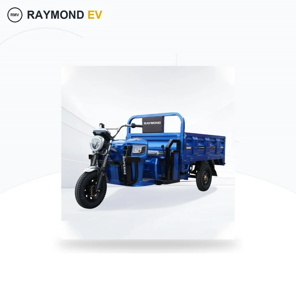Raymon Cargo Electric Tricycle 0040
