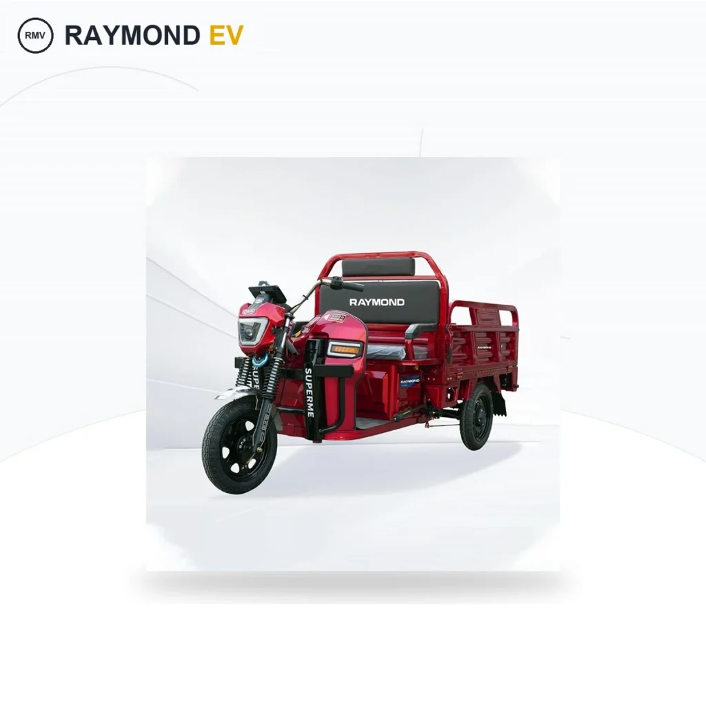 Raymon Cargo Electric Tricycle 0041