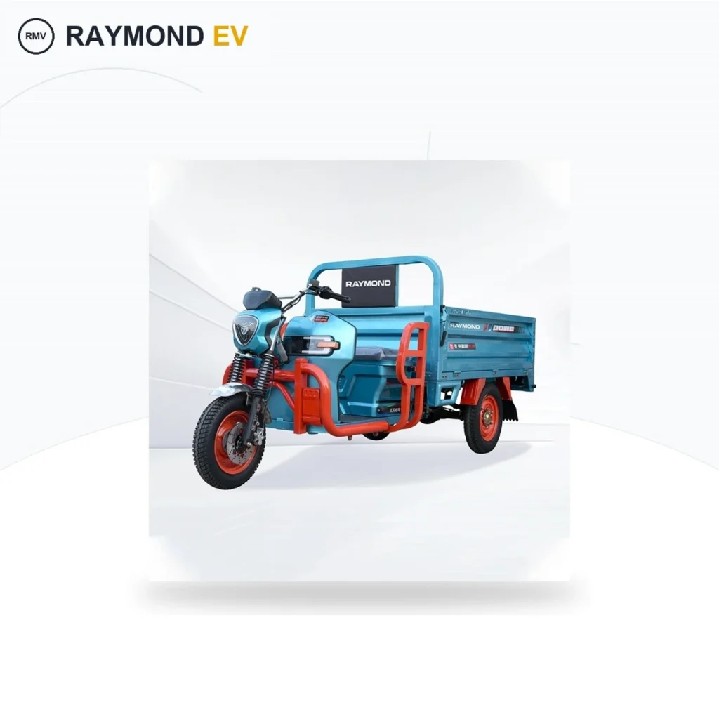 Raymon Cargo Electric Tricycle 0042