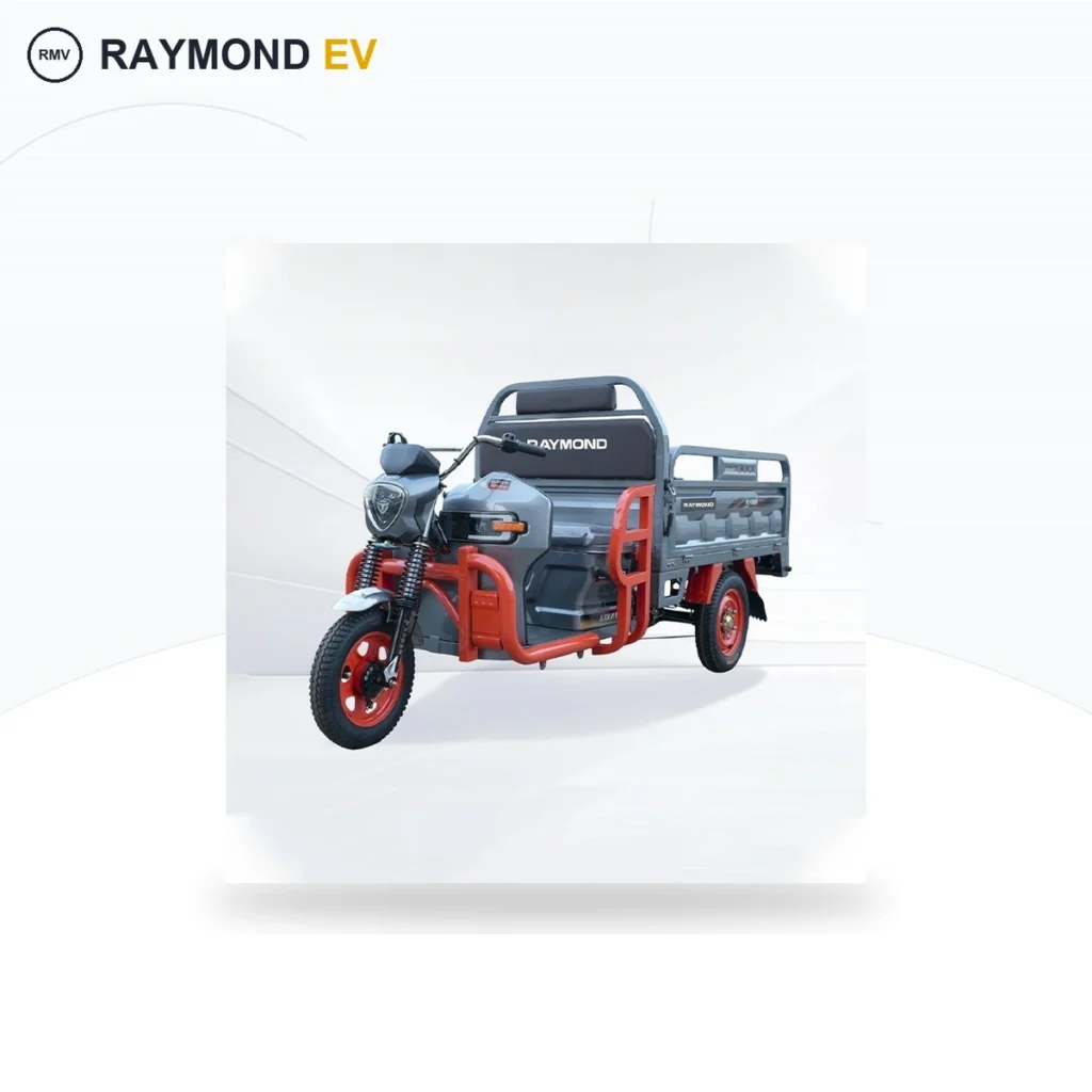 Raymon Cargo Electric Tricycle 0043