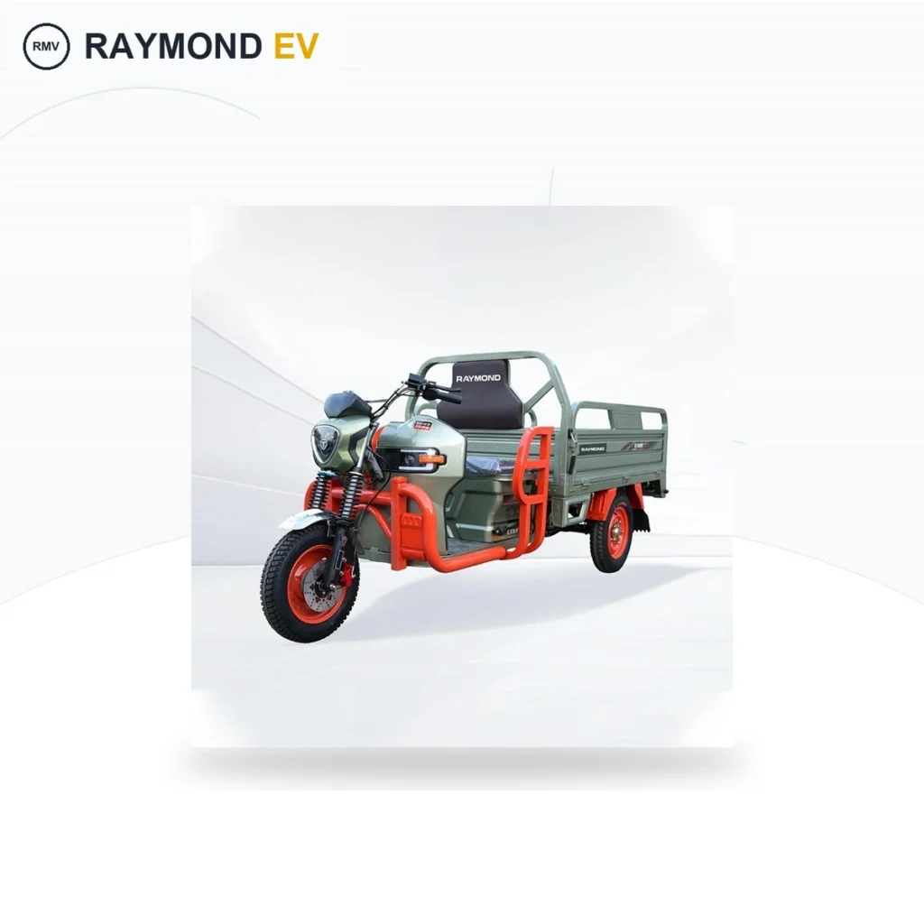 Raymon Cargo Electric Tricycle 0044