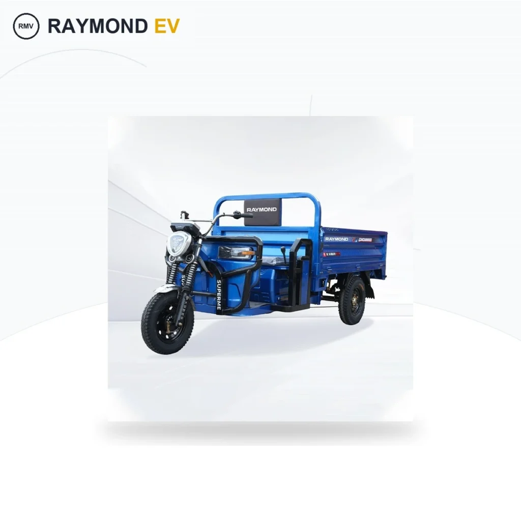 Raymon Cargo Electric Tricycle 0045
