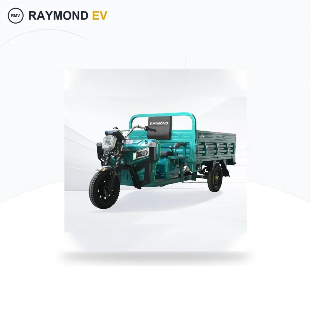 Raymon Cargo Electric Tricycle 0047
