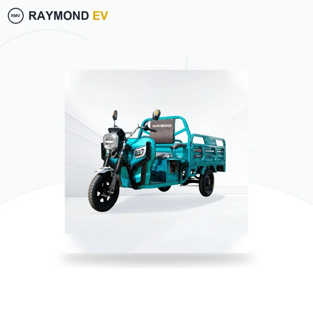 Raymon Cargo Electric Tricycle 0048