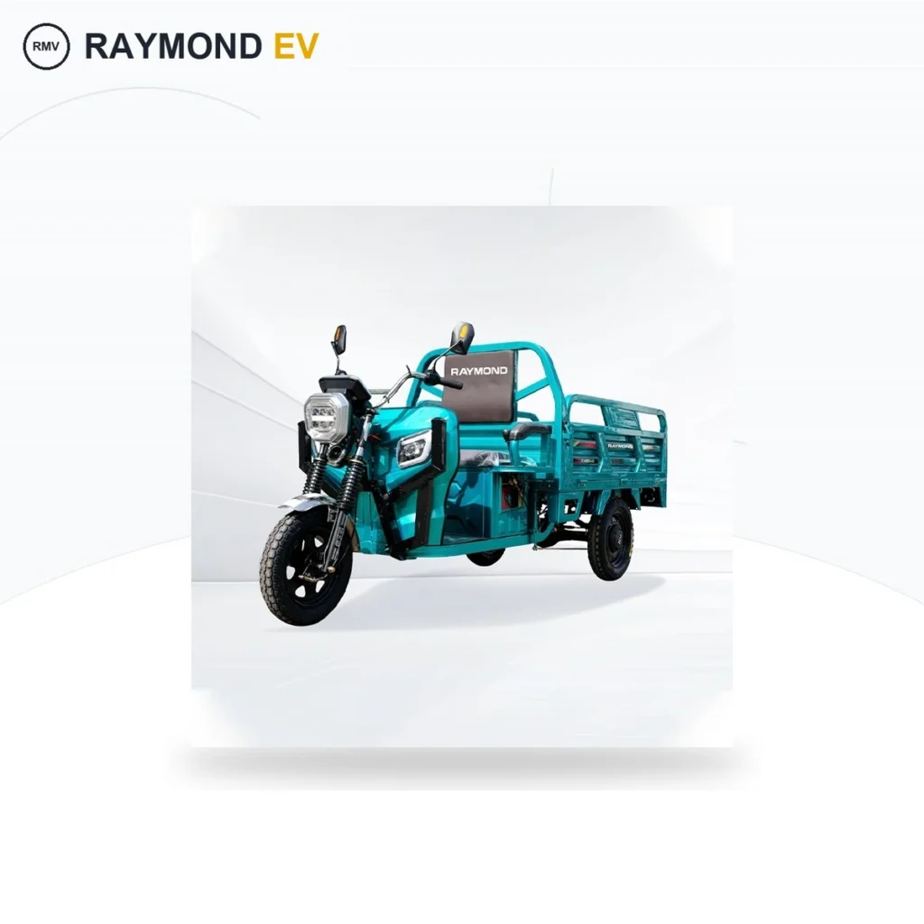 Raymon Cargo Electric Tricycle 0050