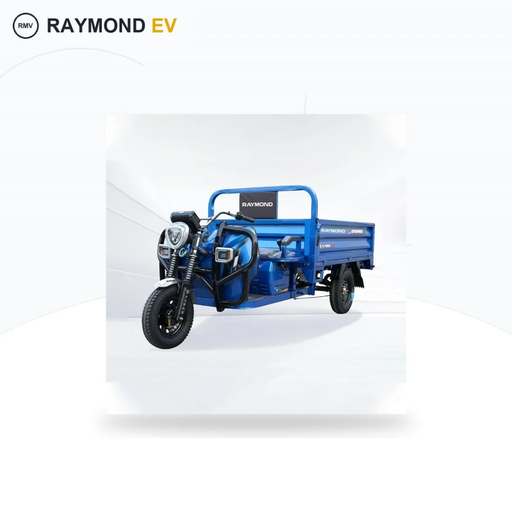 Raymon Cargo Electric Tricycle 0051