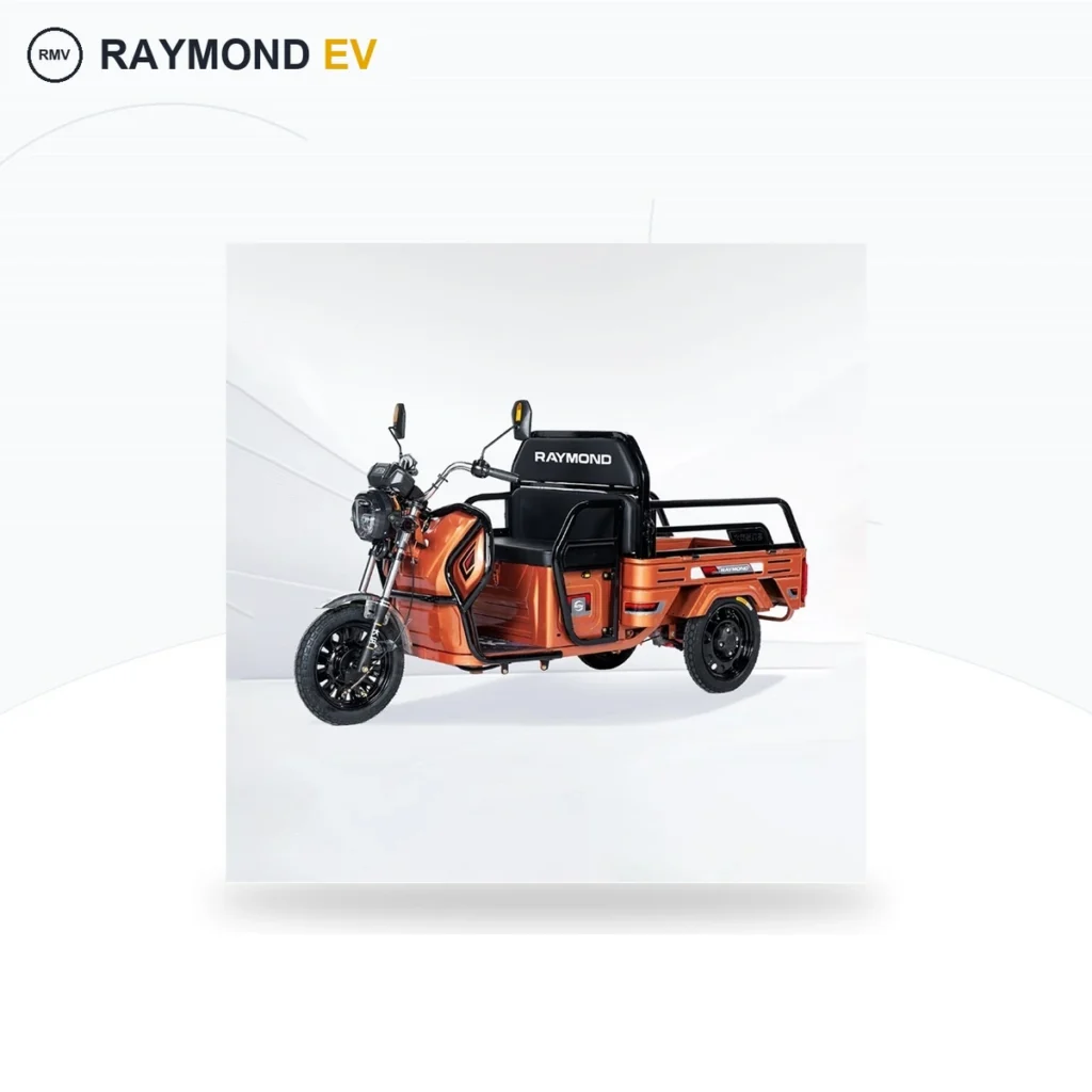 Raymon Cargo Electric Tricycle 0053