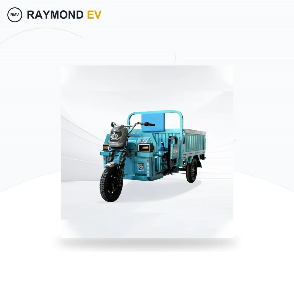 Raymon Cargo Electric Tricycle 0054