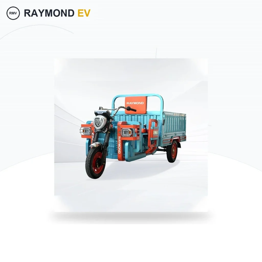 Raymon Cargo Electric Tricycle 0055