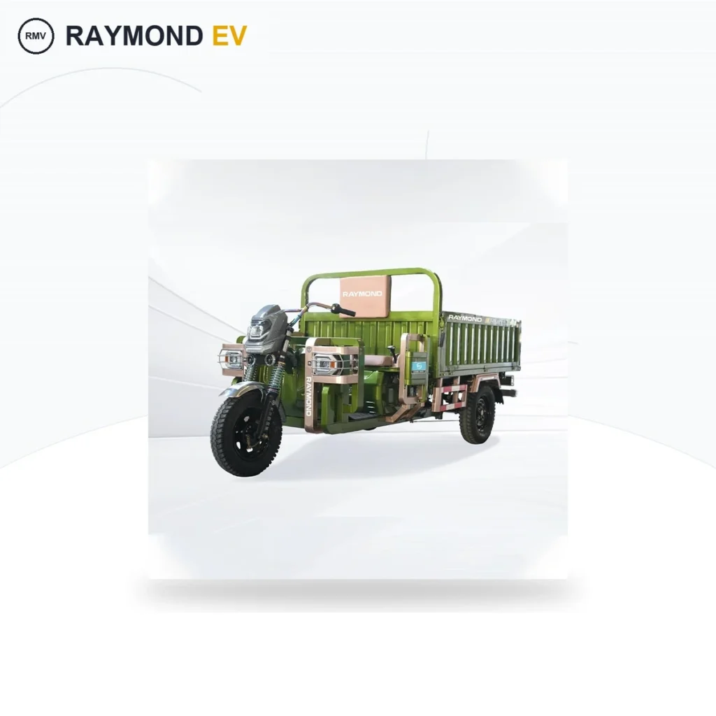 Raymon Cargo Electric Tricycle 0056