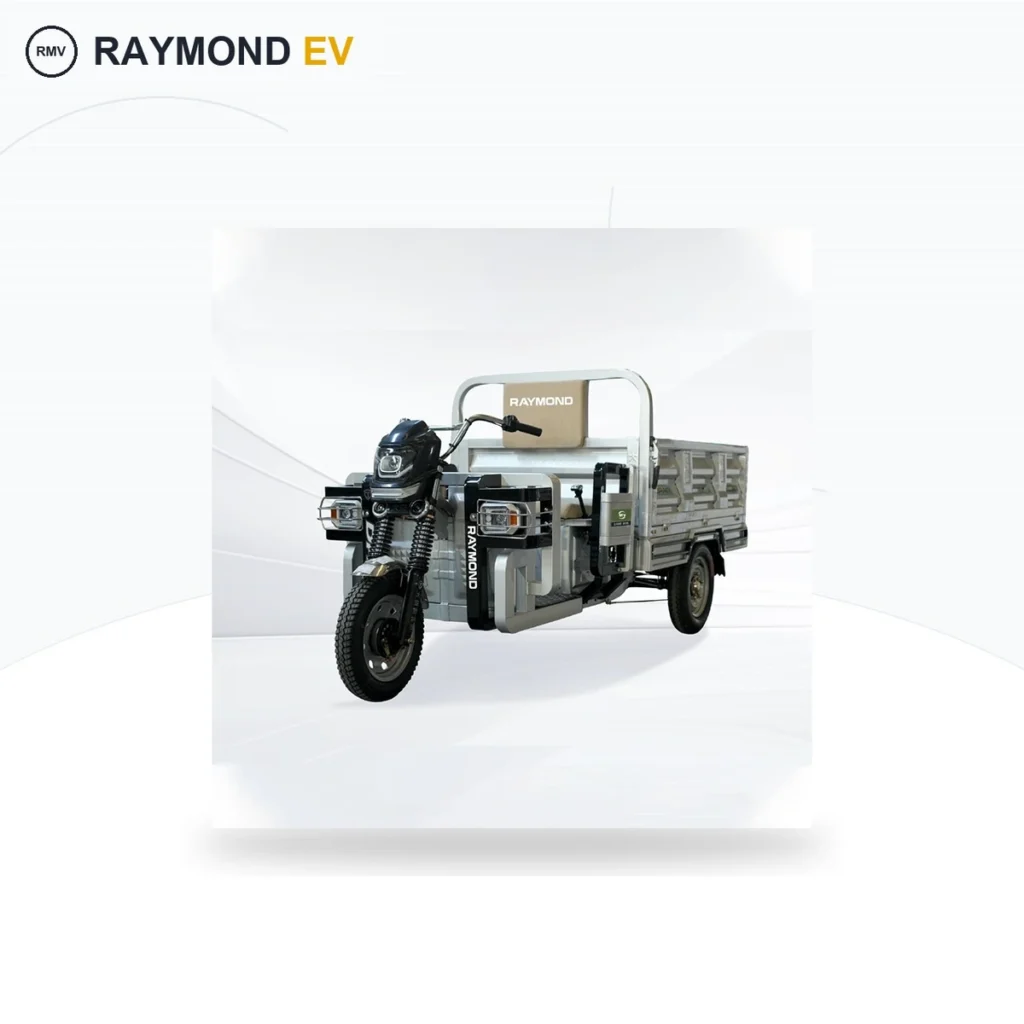 Raymon Cargo Electric Tricycle 0057