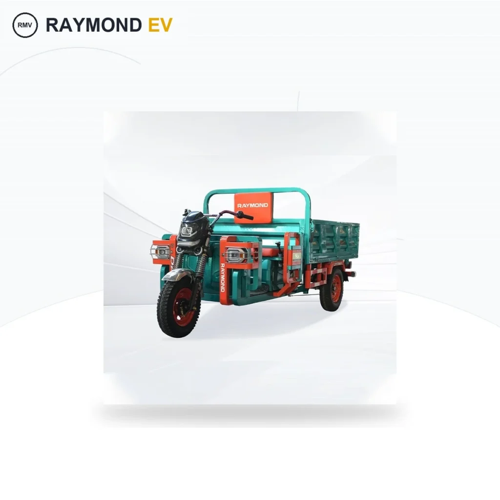 Raymon Cargo Electric Tricycle 0058