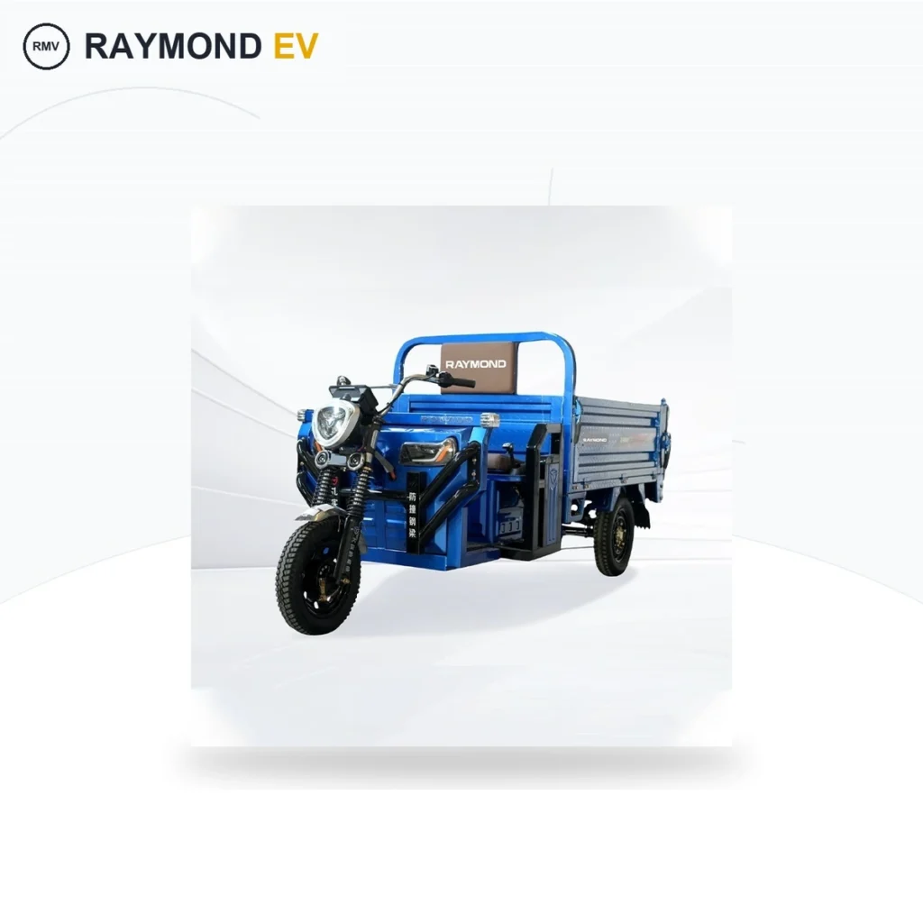 Raymon Cargo Electric Tricycle 0059
