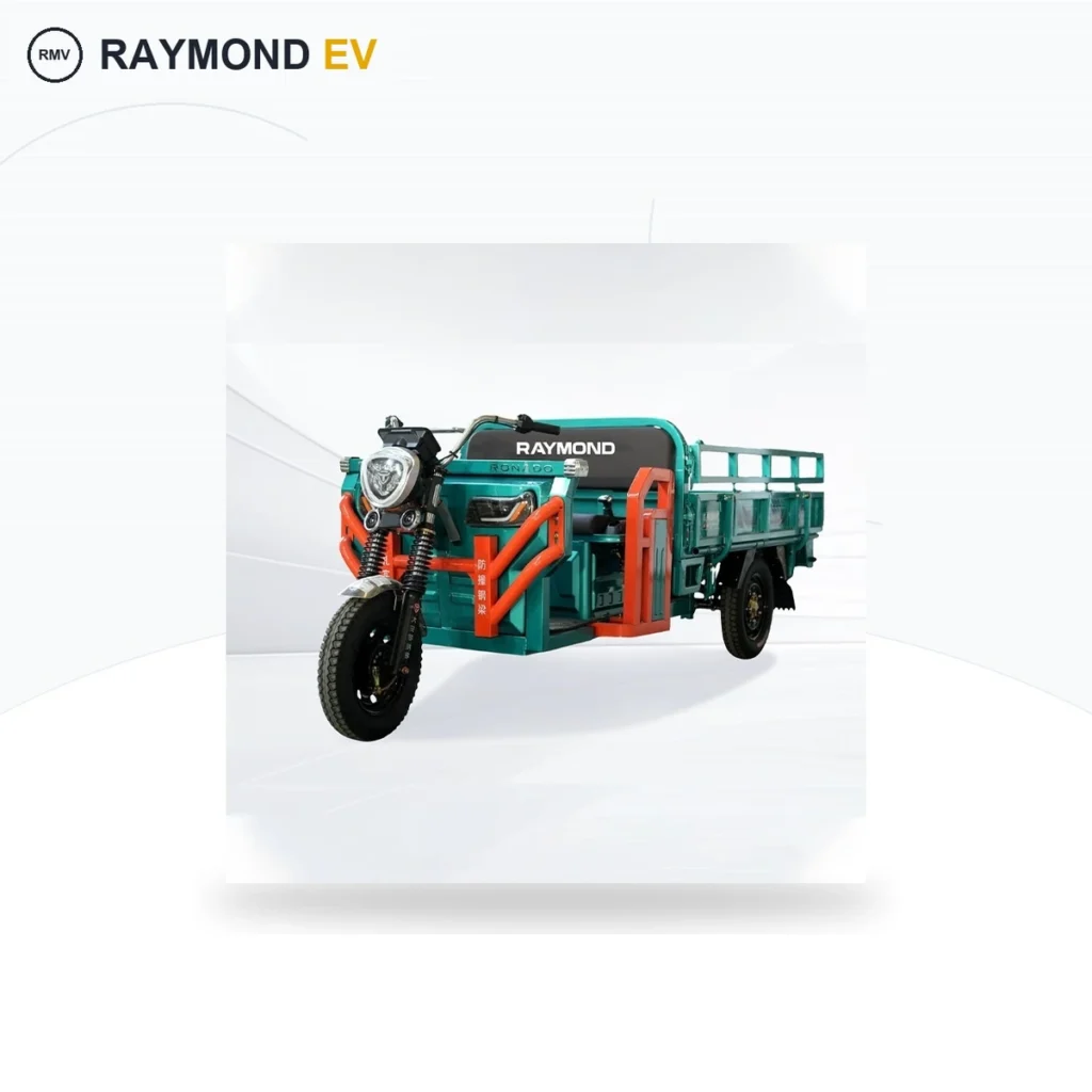 Raymon Cargo Electric Tricycle 0060