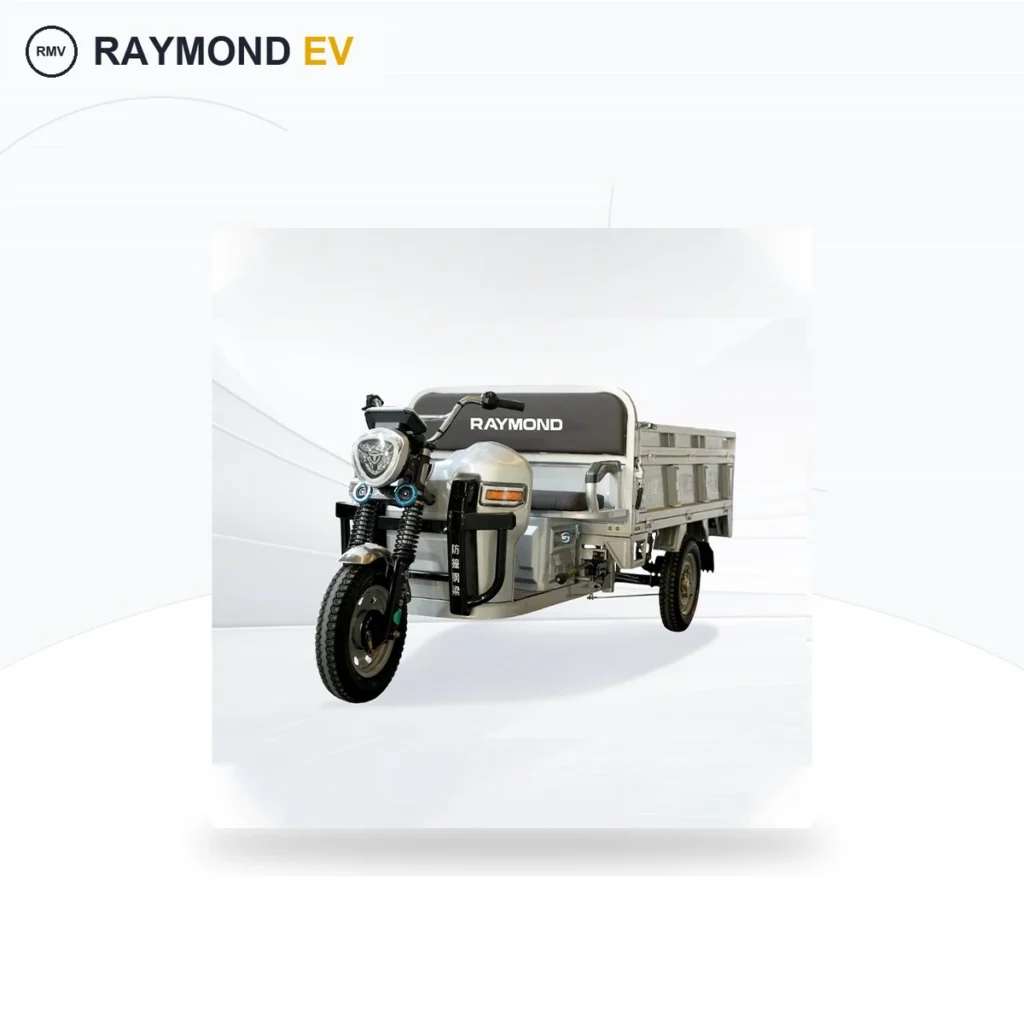 Raymon Cargo Electric Tricycle 0061