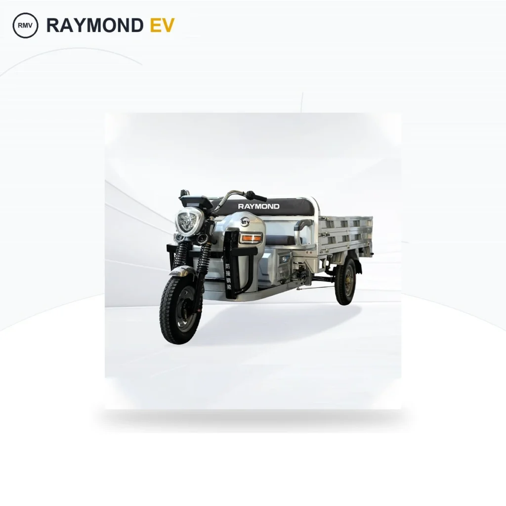 Raymon Cargo Electric Tricycle 0062