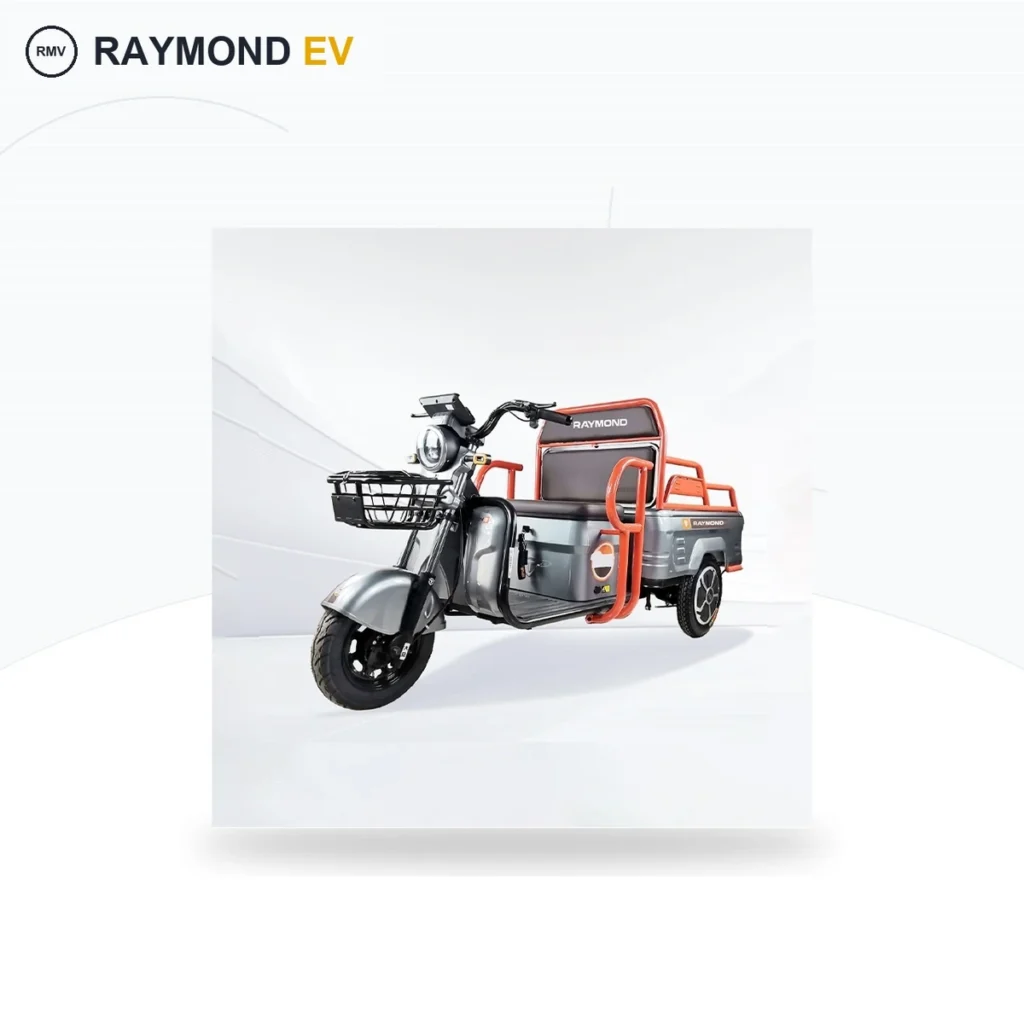 Raymon Cargo Electric Tricycle 0063